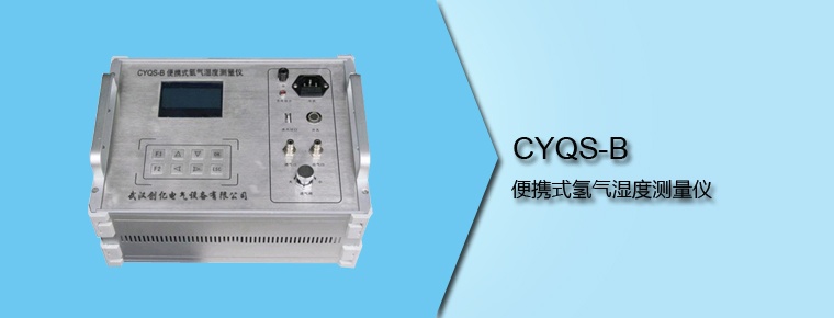 CYQS-B 便攜式氫氣濕度測(cè)量儀